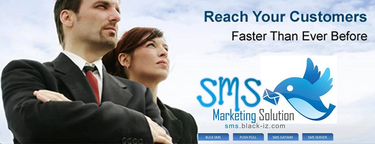 Corporate Bulk SMS Marketing