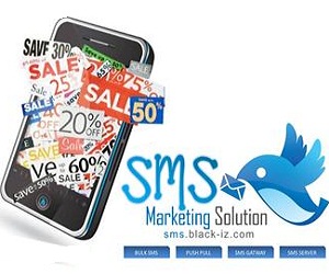 Corporate Bulk SMS Marketing Solution