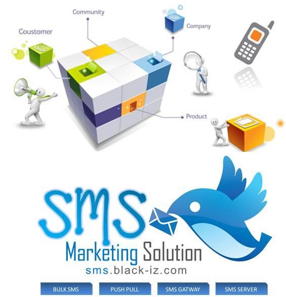 smsmarketingsolutionbangladeshbd.jpg